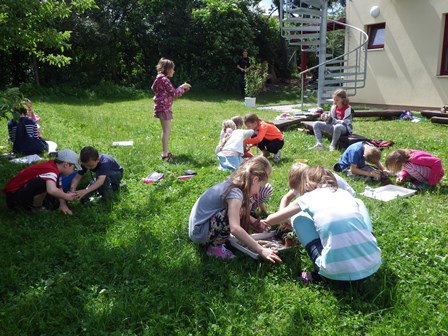 2014_06_05_sázíme_zakořeněné_odnože_a_řízky_07